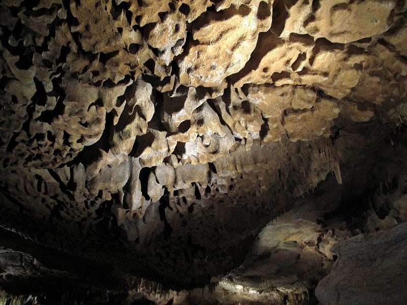 Aquitanien (457).JPG
